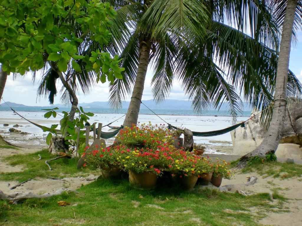 Thong Yang Bungalow Ko Pha Ngan Bagian luar foto